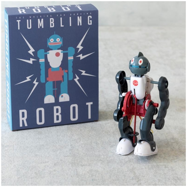 Build Your Own Tumbling Robot - Image 5