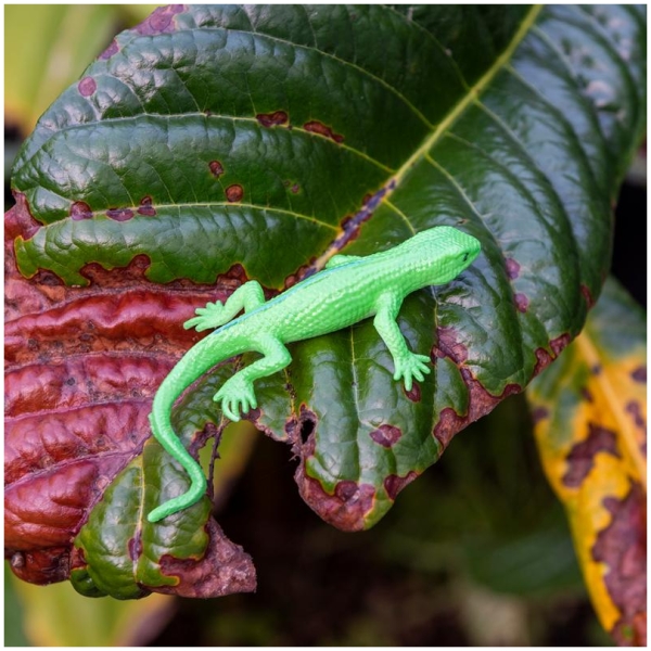 Assorted Super Stretchy Gecko - Image 2