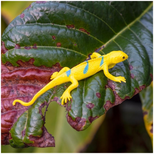 Assorted Super Stretchy Gecko - Image 3