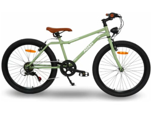 The Speedy MTB 24" Sage