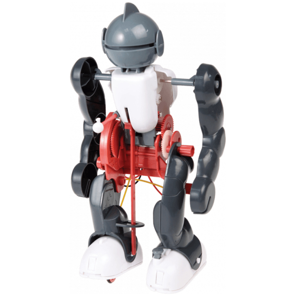 Build Your Own Tumbling Robot - Image 3