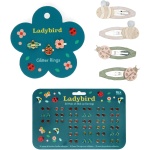 The Fairy Garden Gift Set