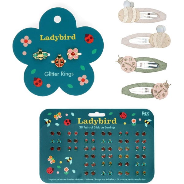 The Fairy Garden Gift Set