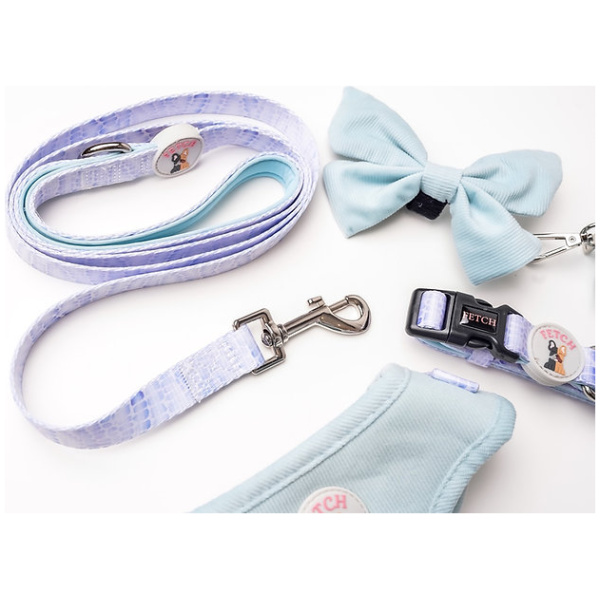 Dog Lead - Kady - Image 2