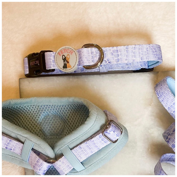 Dog Collar - Kady - Image 2