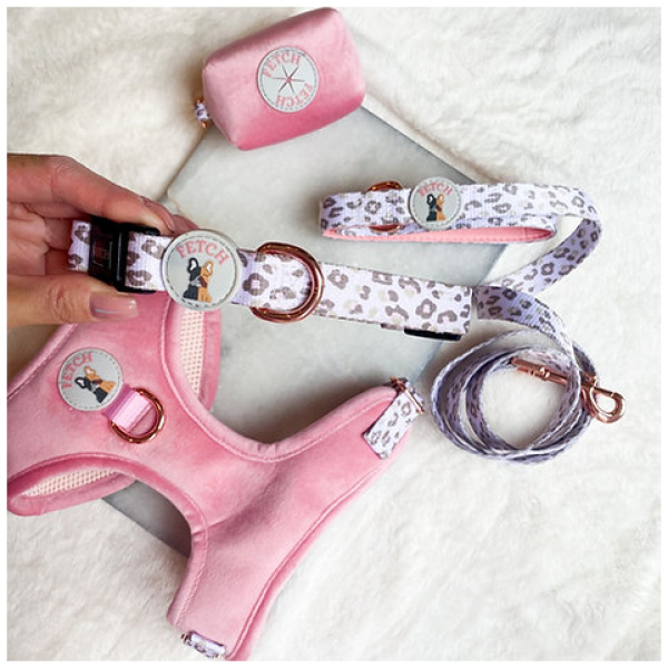Dog Collar - Regina - Image 3