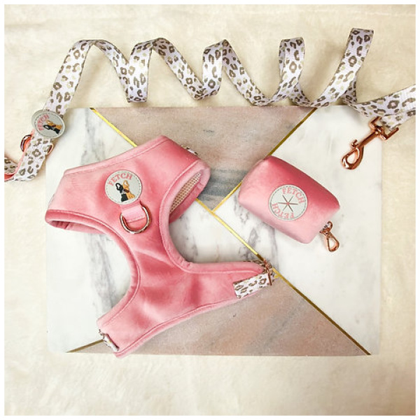Dog Lead - Regina - Image 2