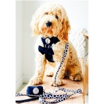 Dog Bow Tie - Janis