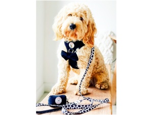 Dog Bow Tie - Janis