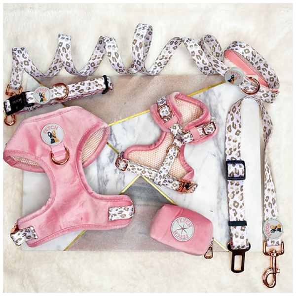 Neck Adjustable Dog Harness - Regina - XS - Image 3