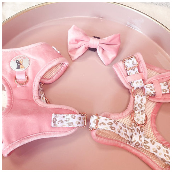 Neck Adjustable Dog Harness - Regina - XS - Image 4