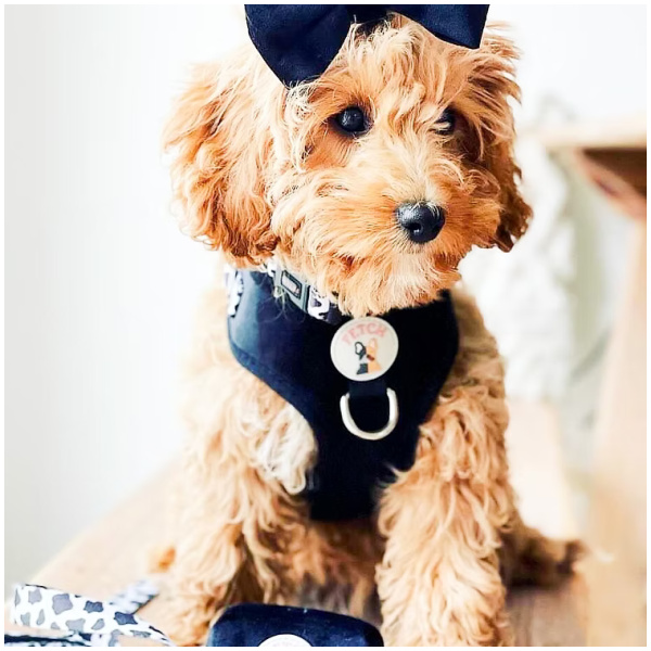 Neck Adjustable Dog Harness - Janis - M - Image 6