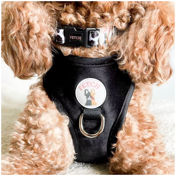 Neck Adjustable Dog Harness - Janis - M - Image 5