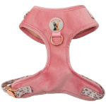 Neck Adjustable Dog Harness - Regina - XS