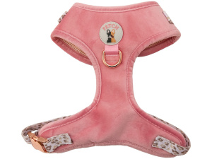 Neck Adjustable Dog Harness - Regina - S