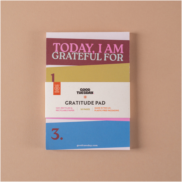 A6 Work Hard, Play Nice Gratitude Pad - Image 3