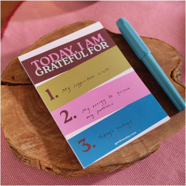 A6 Work Hard, Play Nice Gratitude Pad - Image 2