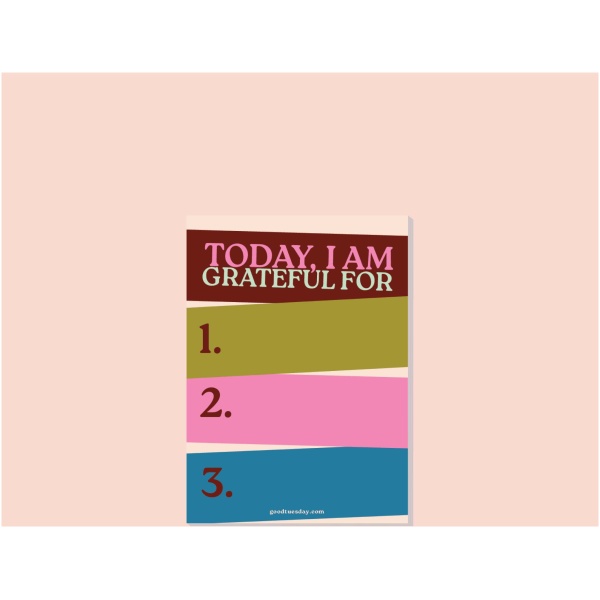 A6 Work Hard, Play Nice Gratitude Pad - Image 4
